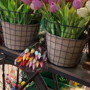 Meet your Posher, Violet